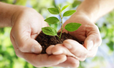 Investir dans la terre : une démarche vertueuse et rentable ! / iStock.com - Brian A Jackson