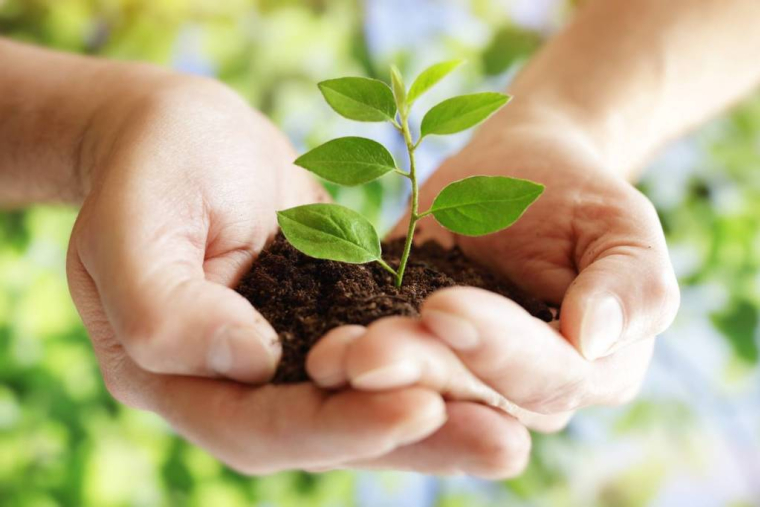 Investir dans la terre : une démarche vertueuse et rentable ! / iStock.com - Brian A Jackson