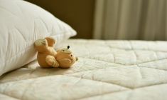 En fonction de la gravité de l'infestation et de la taille du logement, l'intervention d'un professionnel peut coûter jusqu'à 3 000 euros. (Photo d'illustration) (Pixabay / congerdesign)