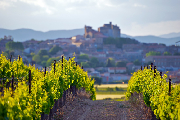Vignobles et châteaux pinardiers