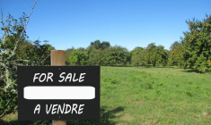 Acheter un terrain constructible, que faut-il savoir ? / iStock-nobtis