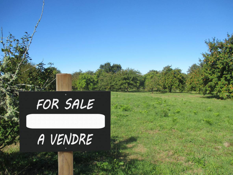 Acheter un terrain constructible, que faut-il savoir ? / iStock-nobtis