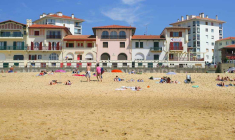 Les prix et les ventes ont connu une progression à deux chiffres sur les côtes françaises. (© DR)