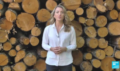 La France à l'ère des méga-feux