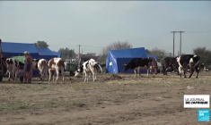 Fin du 39e sommet de l'Union africaine : Le conflit dans l'est de la RDC au cœur des discussions