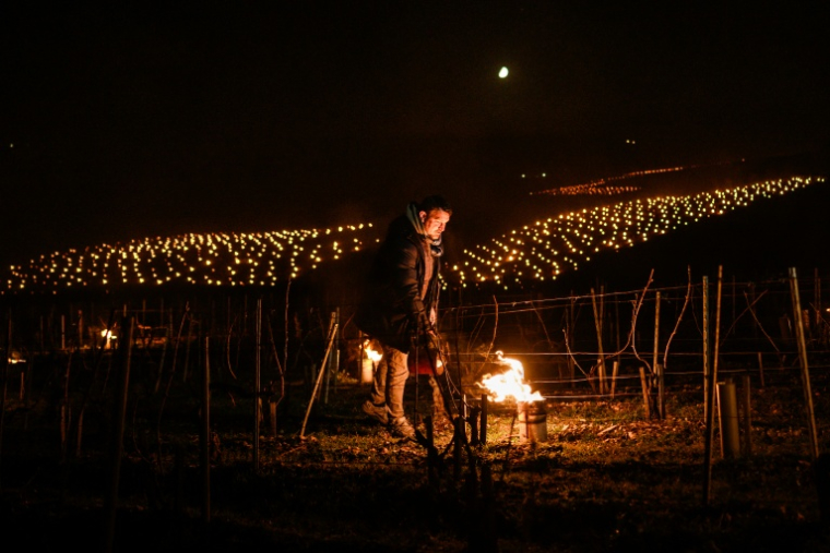 Un vigneron allume des bougies dans les vignes près de Chablis en Bourgogne où les températures sont tombées à -6°C sur les bourgeons précoces, le 27 mars 2026 ( AFP / ARNAUD FINISTRE )