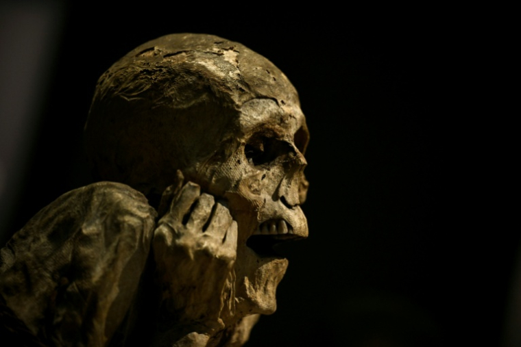 Une momie des Andes péruviennes nommée "Homme Chachapoya" présentée lors de la visite de presse de l'exposition "Momies", au Musée de l’Homme à Paris, le 18 novembre 2025 ( AFP / JULIEN DE ROSA )