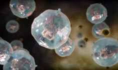 Abivax développe un candidat-médicament pour lutter contre le virus du sida. (© Abivax)