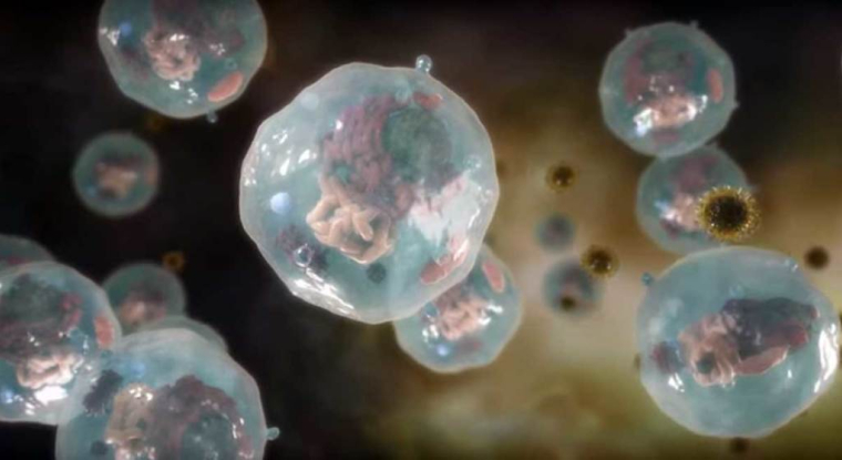 Abivax développe un candidat-médicament pour lutter contre le virus du sida. (© Abivax)