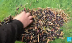 Villages d'exception, un trésor à sauvegarder