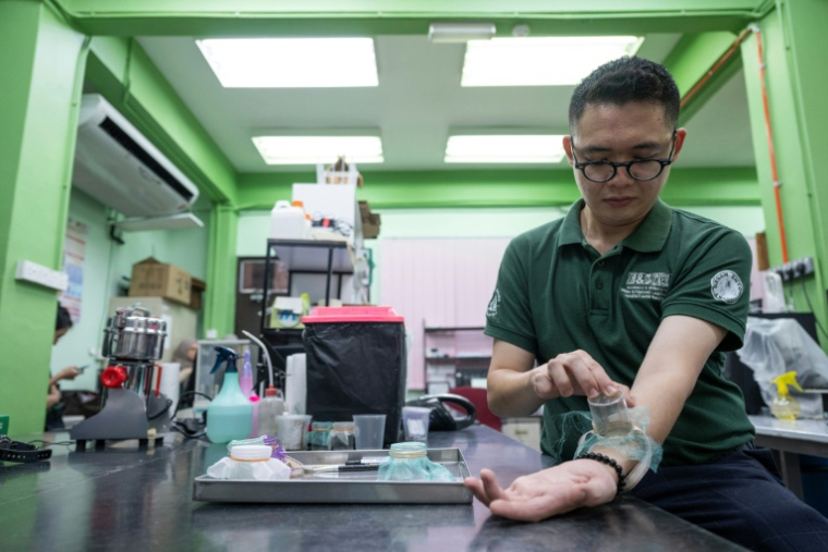 Un chercheur laisse des punaises de lit se nourrir de son sang dans le cadre d'une étude scientifique au laboratoire de l'Université des sciences de Malaisie (USM) à George Town, sur l'île de Penang, le 8 octobre 2025 ( AFP / Mohd RASFAN )