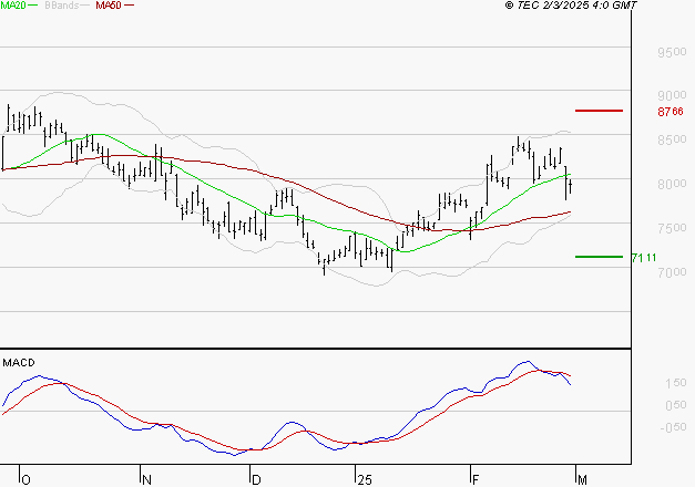 ARKEMA : Une consolidation vers les supports est probable