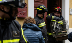 Des pompiers sortent le 29 janvier 2026 des perroquets d'une maison évacuée après l'effondrement d'un long pan de falaise à Niscemi, petite ville de Sicile ( AFP / MARCO BERTORELLO )