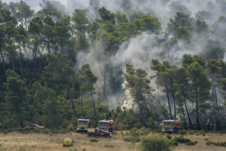 Des véhicules de pompiers près d'une zone forestière en feu à Saint-Laurent-de-la-Cabrerisse, dans l'Aude, le 7 août 2025 ( AFP / Idriss Bigou-Gilles )
