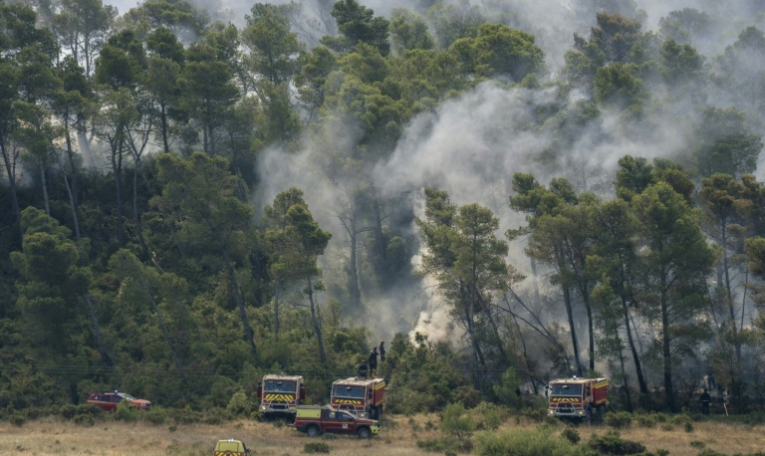 Des véhicules de pompiers près d'une zone forestière en feu à Saint-Laurent-de-la-Cabrerisse, dans l'Aude, le 7 août 2025 ( AFP / Idriss Bigou-Gilles )