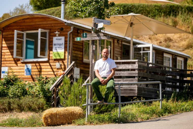 Le vigneron Florian Weingart au milieu de son vignoble de Spay, dans l'ouest de l'Allemagne, le 14 août 2026  ( afp / Torsten Silz )