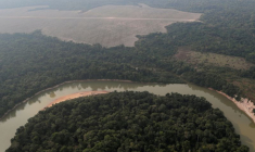 A MARSEILLE, LES PEUPLES D'AMAZONIE SONNENT L'ALARME SUR LA DÉFORESTATION