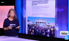 Le programme de l'AfD, "un brun flippant"
