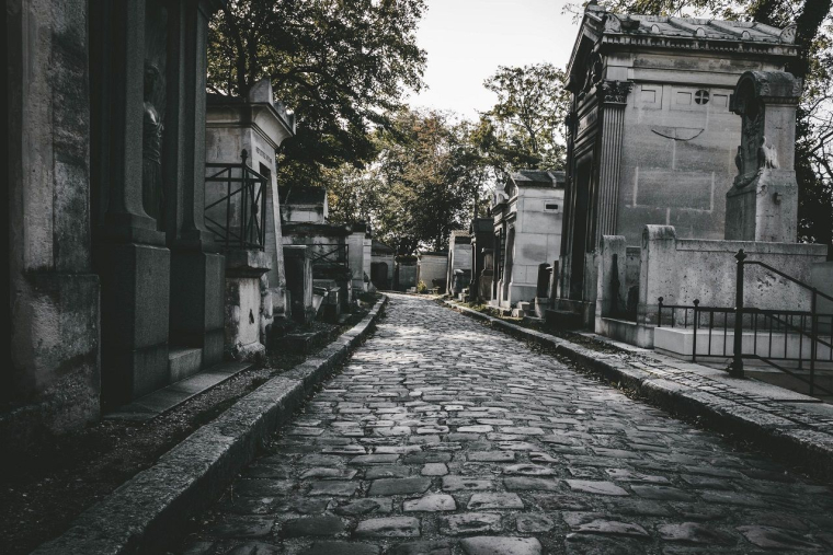 (Crédits photo : Unsplash - Echo Grid )