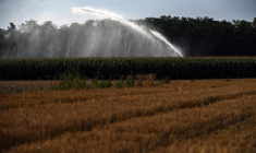 (illustration) ( AFP / OLIVIER CHASSIGNOLE )