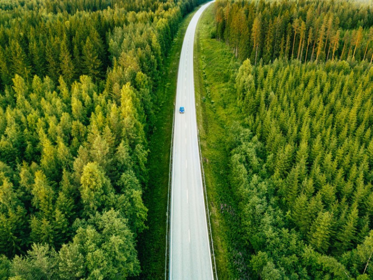 Le prix des bois et forêts est en hausse pour la deuxième année consécutive (Crédit photo : 123RF)