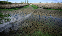 Un cours d'eau asséché à Machecoul, en Loire-Atlantique, le 3 septembre 2026 ( AFP / Loic VENANCE )