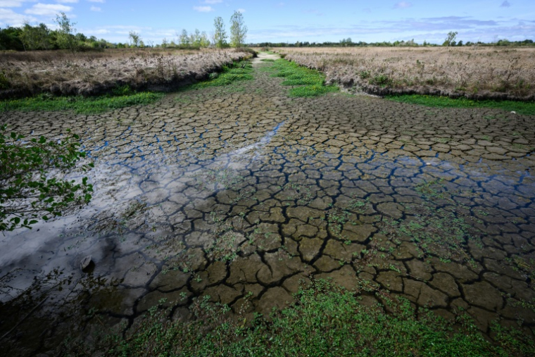 Un cours d'eau asséché à Machecoul, en Loire-Atlantique, le 3 septembre 2026 ( AFP / Loic VENANCE )