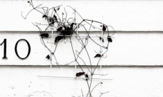 Profitez des offres de primes lors d'une première souscription d'un contrat d'assurance vie sur Internet. Le Revenu vous conseille. (© cc Amanda Graham)