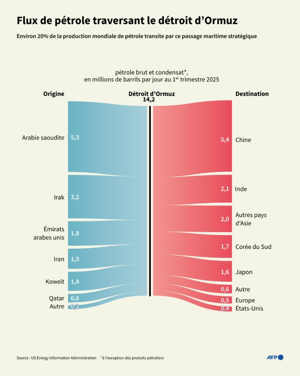 Flux de pétrole traversant le détroit d'Ormuz (Moyen-Orient) par pays d'origine et de destination pour le premier trimestre 2025, d'après les données de l'US Energy Information Administration  ( AFP / Jonathan WALTER )