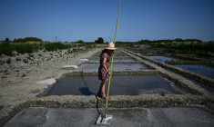 La saunière française Annabelle Poinot récolte la fleur de sel qui forme une fine croûte à la surface de l’eau de mer acheminée à travers les bassins d’un marais salant à Château-d’Oléron, sur l’île d’Oléron, dans le sud-ouest de la France, le 17 juin 2026 ( AFP / Christophe ARCHAMBAULT )