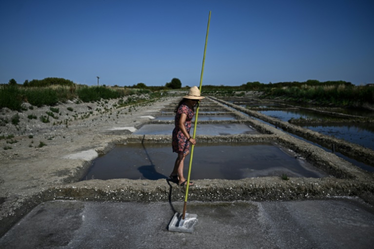 La saunière française Annabelle Poinot récolte la fleur de sel qui forme une fine croûte à la surface de l’eau de mer acheminée à travers les bassins d’un marais salant à Château-d’Oléron, sur l’île d’Oléron, dans le sud-ouest de la France, le 17 juin 2026 ( AFP / Christophe ARCHAMBAULT )