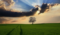 Moins de stress et plus de sécurité : les motivations des propriétaires français qui choisissent la campagne