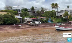 Nouvelle-Calédonie : l'île des Pins espère reconquérir ses touristes