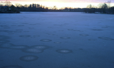 26 départements ont été placés en vigilance orange neige-verglas, notamment la Bretagne et la Normandie. Ici une mare gelée à Hédé-Bazouges, en Ille-et-Vilaine, le 5 janvier 2026  ( AFP / Damien MEYER )