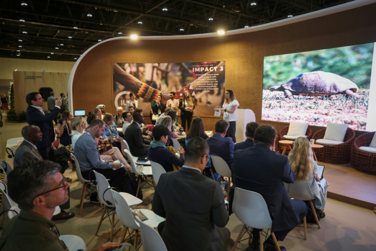 Des participants au congrès mondial de l'Union internationale pour la conservation de la nature (UICN) à Abu Dhabi, le 9 octobre 2025 aux Emirats arabes unis ( AFP / FADEL SENNA )