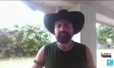 Canicule et sécheresse en France : quelles conséquences pour les arbres ?