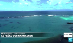 Le temps du deuil, après le chavirage mortel d'une pirogue sur le fleuve Maroni en Guyane