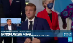 Sommet du G20 à Bali : la guerre en Ukraine et l'inflation en toile de fond