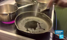 Le tuto : le chef Pierre Thiam dévoile les secrets de sa "sauce feuilles au fonio"