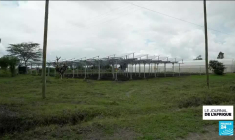 Kenya : le pari de l'énergie solaire