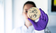 Un membre de l'équipe de recherche de Bavarian Nordic