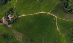 Vue aérienne d'une plantation de feuilles de coca à Suarez, dans le département du Cauca (Colombie), le 27 mai 2026 ( AFP / Joaquín SARMIENTO )