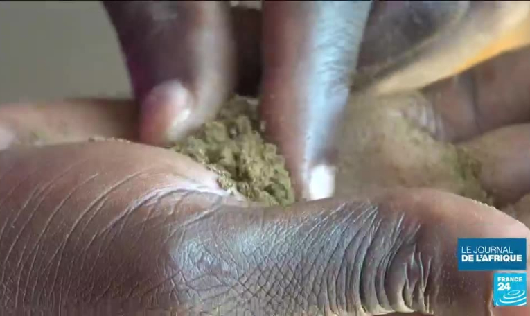 Du tabac modifié en Centrafrique : le "manga", un produit nocif très consommé par les 18-30 ans