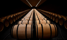 ( AFP / CHRISTOPHE ARCHAMBAULT )