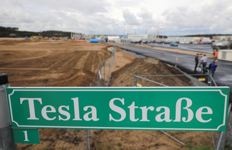 L'HIBERNATION DES SERPENTS FORCE TESLA À SUSPENDRE LA CONSTRUCTION DE SON USINE ALLEMANDE