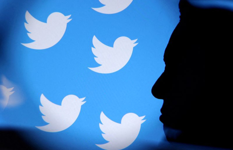 Illustration d'Elon Musk et du logo de Twitter