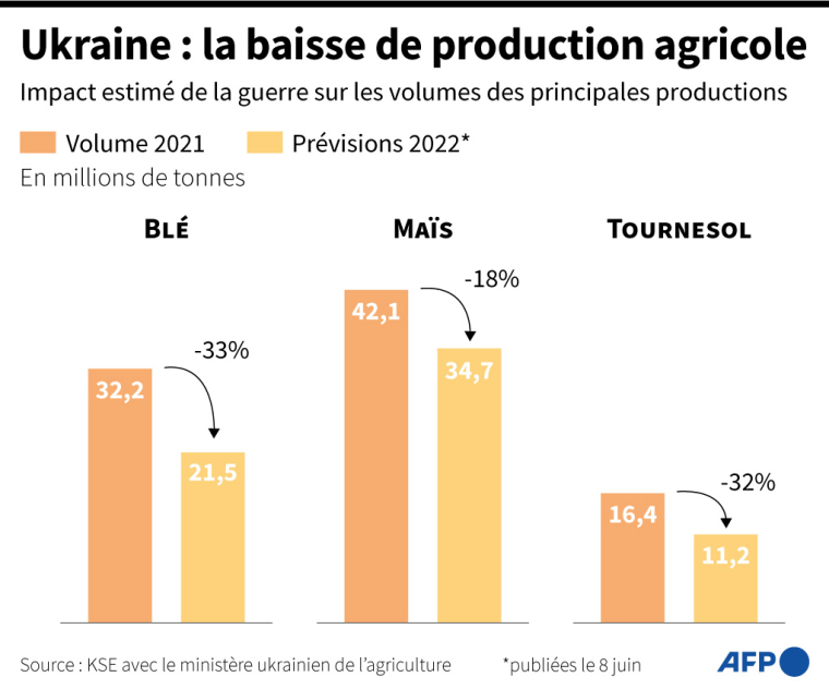 Impact estimé de la guerre sur les volumes des principales cultures d'Ukraine : blé, maïs et tournesol ( AFP / )