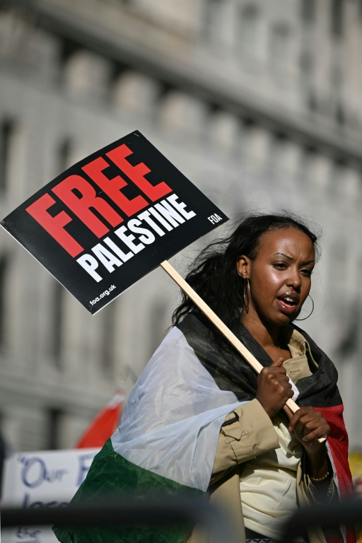 Manifestation de soutien aux Palestiniens organisée par la Palestine Solidarity Campaign, dans le centre de Londres, le 10 octobre 2026 ( AFP / JUSTIN TALLIS )