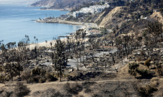 Les ruines du quartier de Pacific Palisades, ravagé par un incendie, à Los Angeles, le 15 janvier 2025 ( AFP / ETIENNE LAURENT )