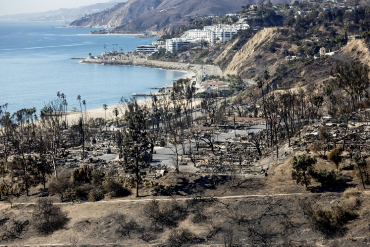 Les ruines du quartier de Pacific Palisades, ravagé par un incendie, à Los Angeles, le 15 janvier 2025 ( AFP / ETIENNE LAURENT )
